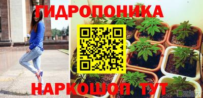 стафф Краснокаменск