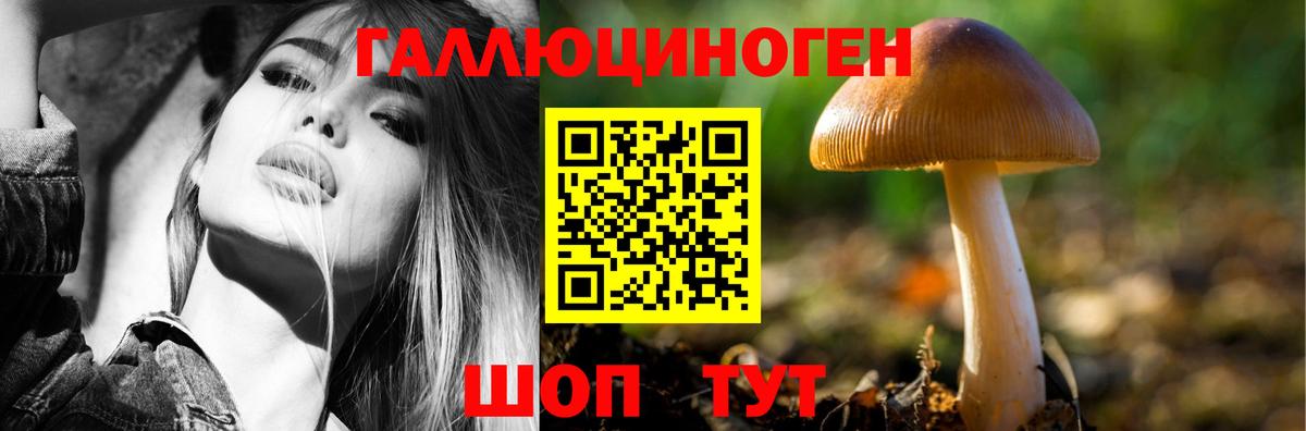 Ейск  Псилоцибиновые грибы Psilocybe  Псилоцибиновые грибы ЛСД  Вход с VPN 